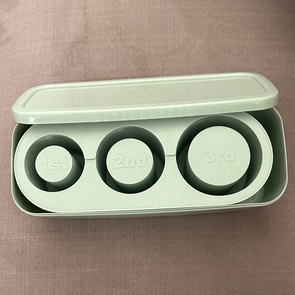 Mint Green Ice Mold